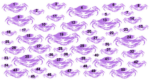 Illustration of a colony of 50 purple tsunami crabs: Each crab is numbered between 1 and 50. Crabs are shown in various sizes